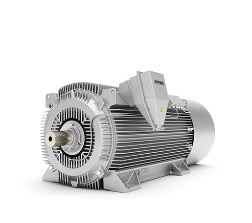 HV Squirrel Cage Motors